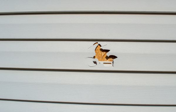 Cost of Siding Hole Repair in Mckinney